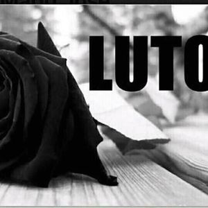 Meet your Posher, Bruno